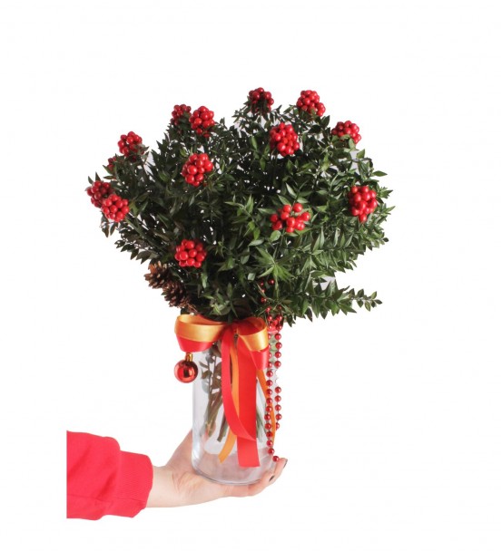 Yılbaşı Çiçeği Şeffaf Cam Vazoda Kokina Aranjman